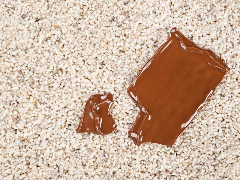 macchia cioccolato sul tappeto
